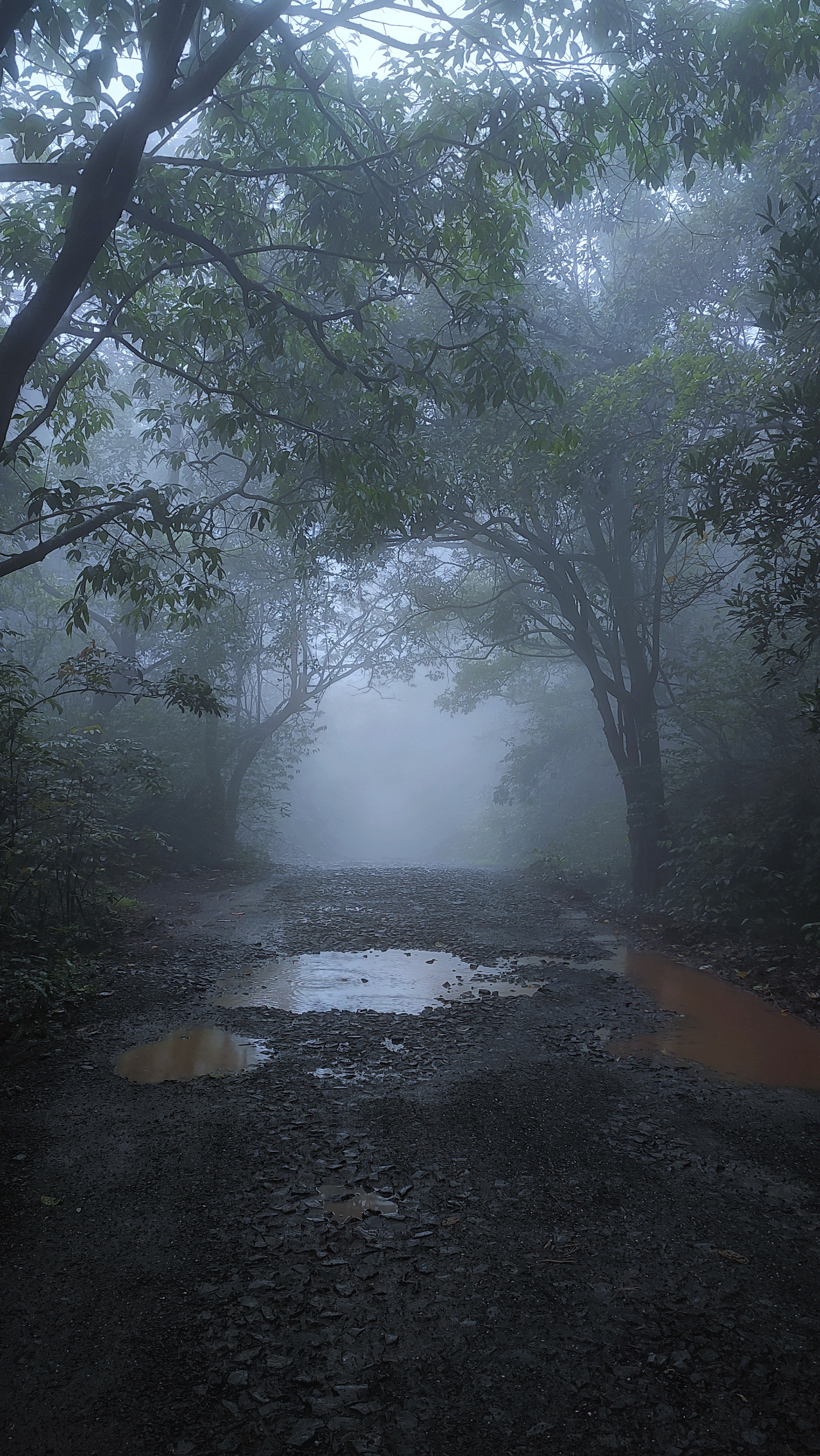 Bhimashankar Darshan  & Bhorgiri Jungle Trek